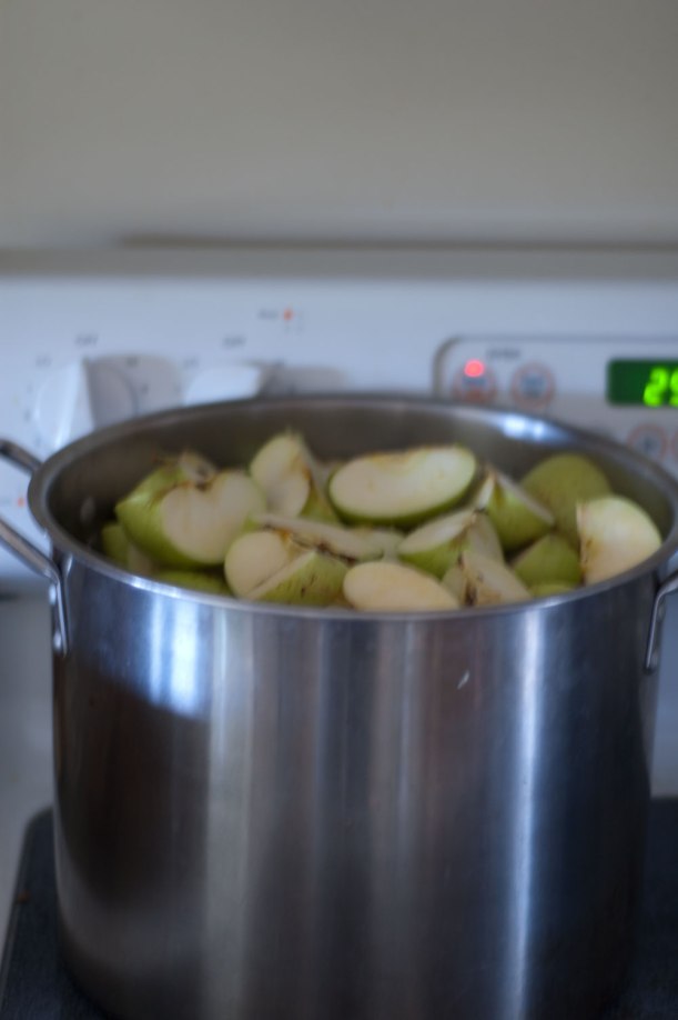 Big pot of apples. 