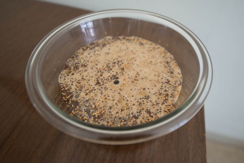 Here's the mustard seeds and the Founder's Breakfast Stout working their magic. 