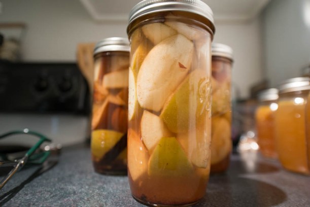 Here's our spiced apples and pears. The pears ended up with a perfect texture. The apples ended up a little soft. The spice levels were outstanding. 