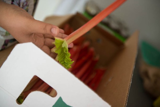 Rhubarb. That's what it looks like. 