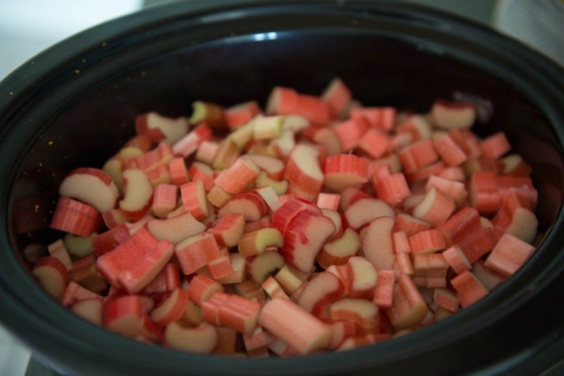 Rhubarb jam prior to cooking. 