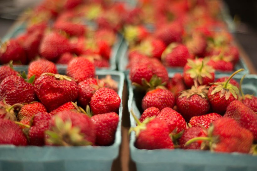 Fresh from the field