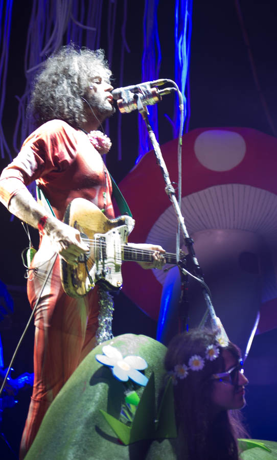 That's a woman dressed as a mountain. There were a couple of mushrooms and a rainbow on the stage too. 
