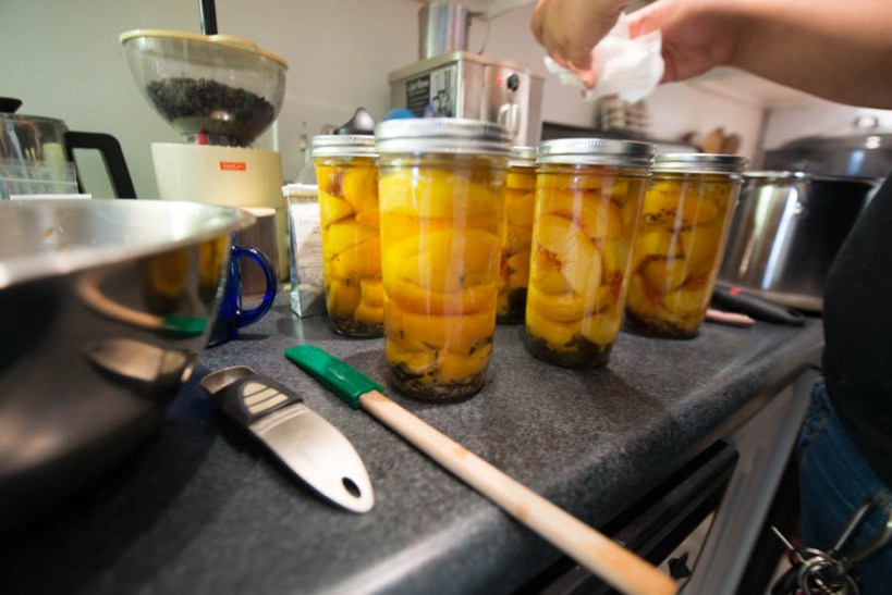 So many peaches. These are the peaches that were packed in tea.