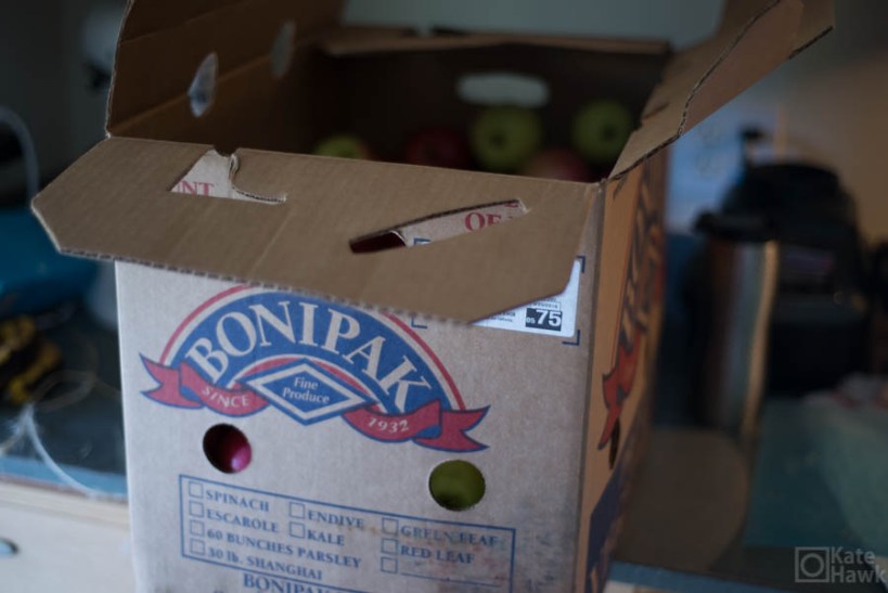 This is what a bushel of apples looks like. 