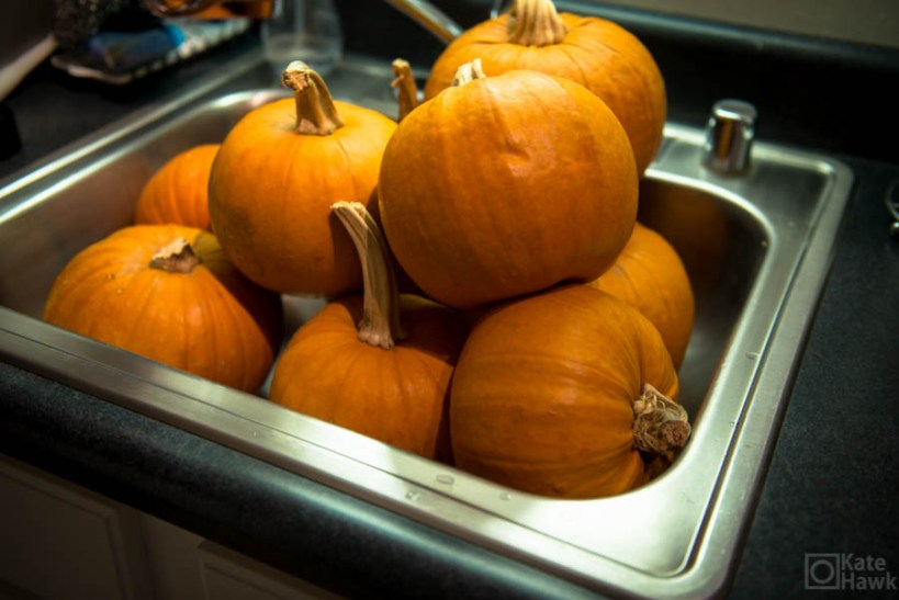 nine pumpkins of the pressure canner apocalypse.