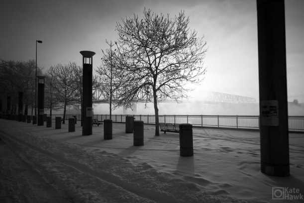 20150306-20150306-DSC_0007