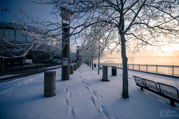 20150306-20150306-DSC_0032