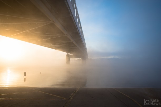 20150306-20150306-DSC_9974