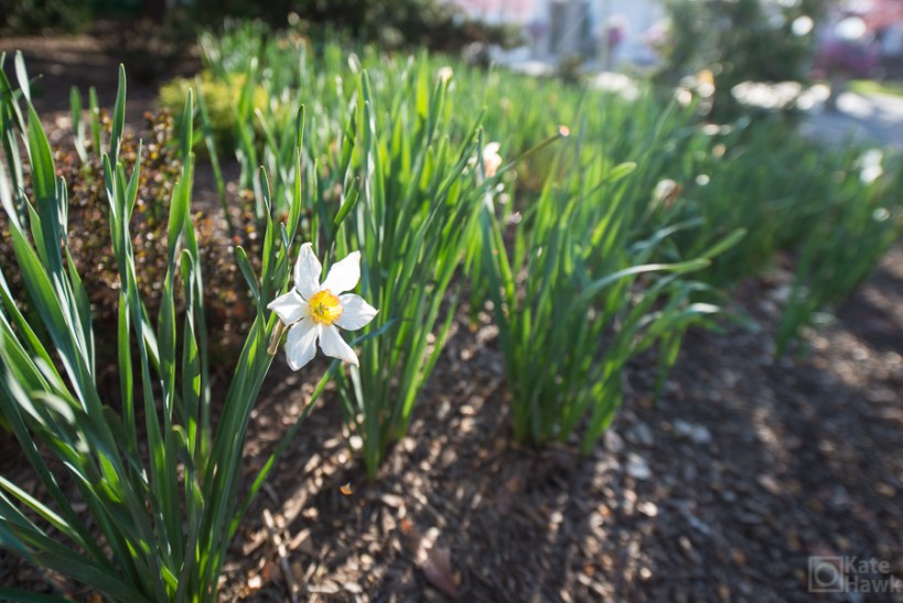 Pictures of Cincinnati OH