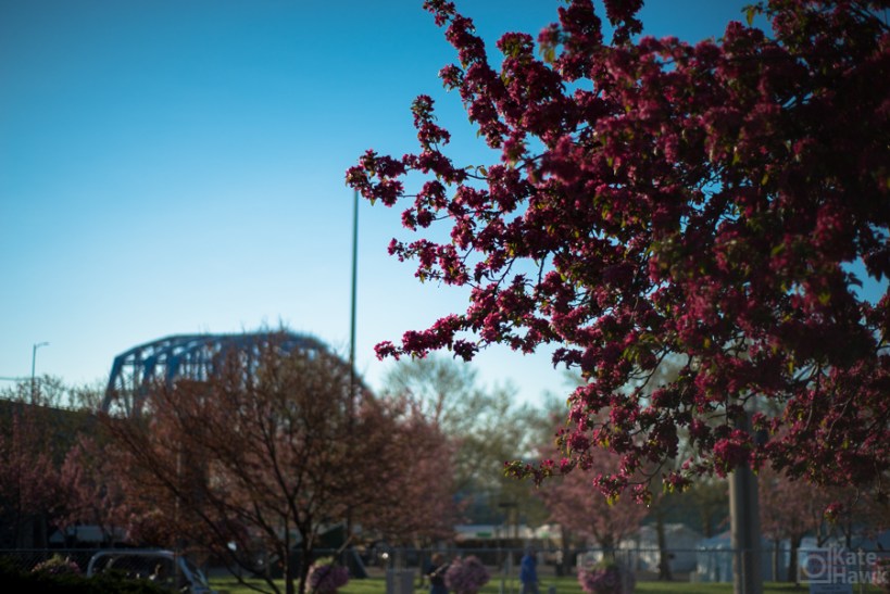 Pictures of Cincinnati OH