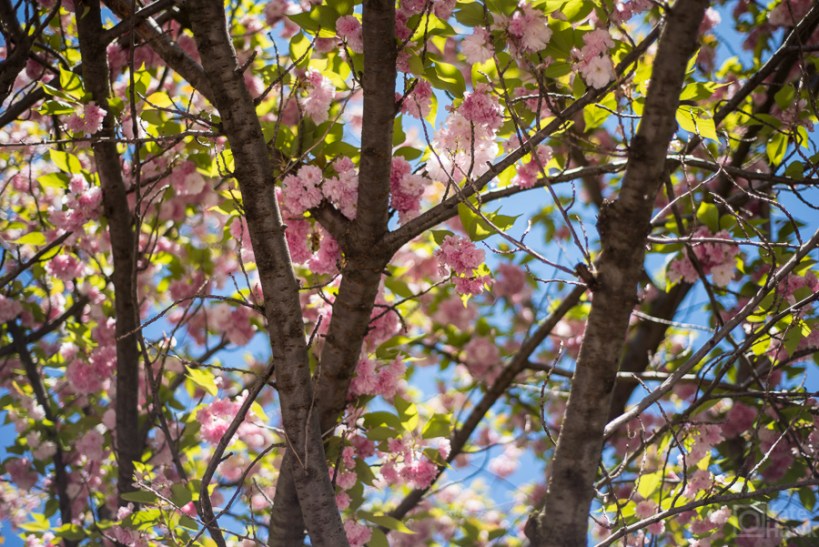 Pictures of Cincinnati OH