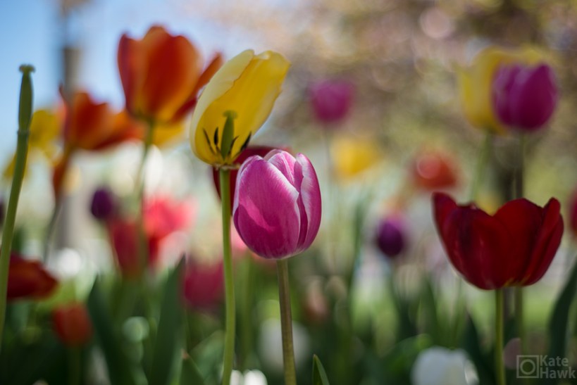 Pictures of Cincinnati OH