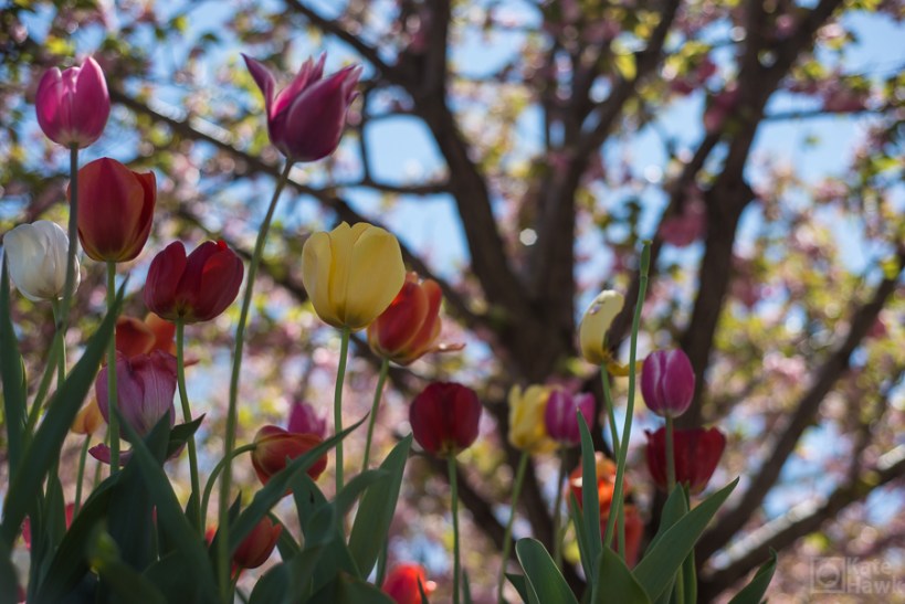 Pictures of Cincinnati OH