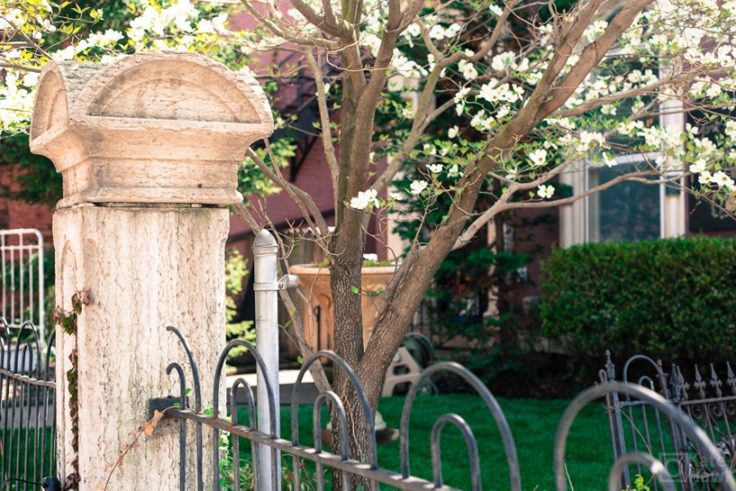 Pictures of Newport KY