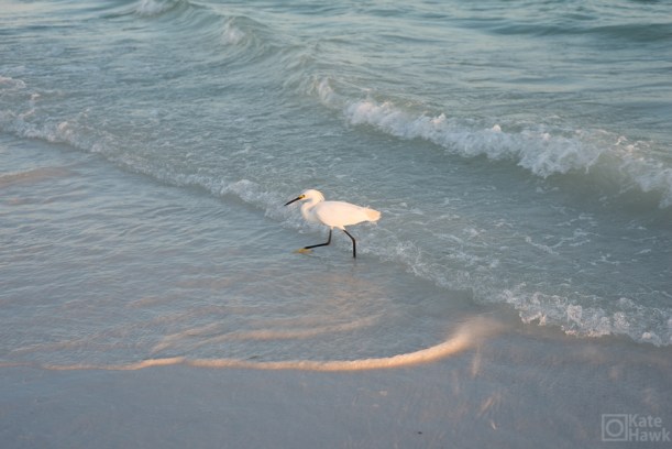 20150530-20150530-DSC_1396