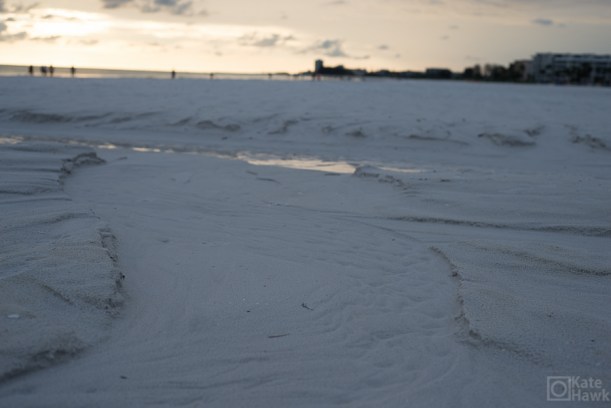 20150602-20150602-DSC_1427