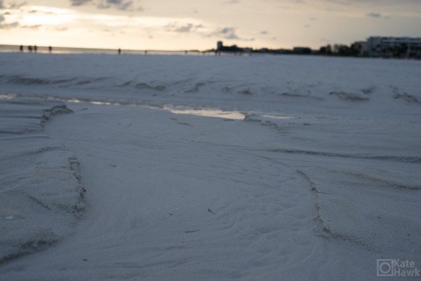 20150602-20150602-DSC_1427