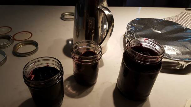 black raspberry and blueberry jams