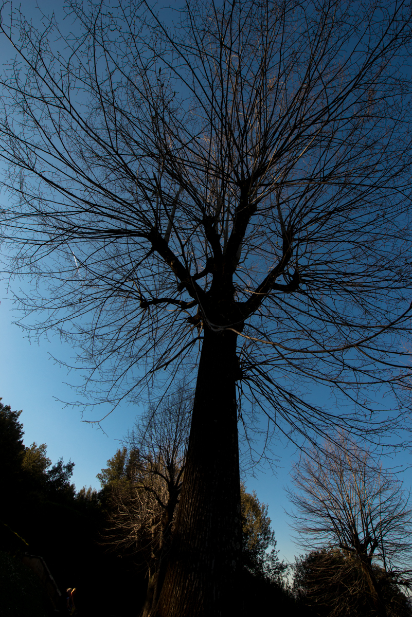 We got a bit of time to relaxe in the afternoon. It was about 70